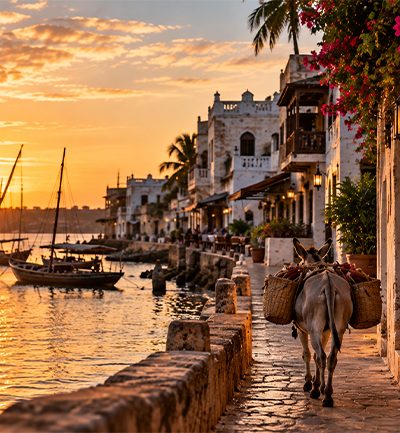 Lamu: Where Time Moves at the Speed of a Donkey